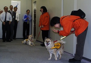 聴導犬に話しかける日本聴導犬協会のみなさん